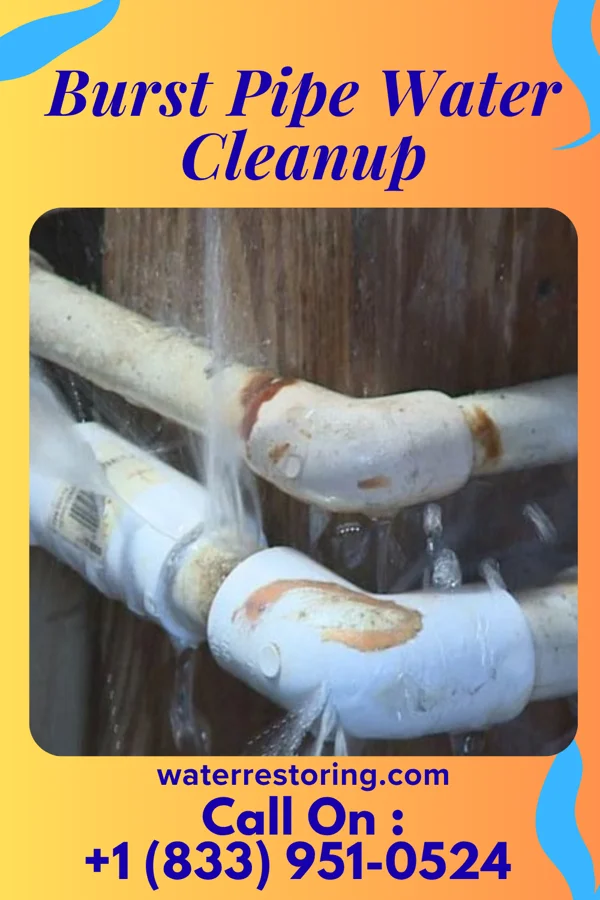 Burst Pipe Water Cleanup in Redland, MD