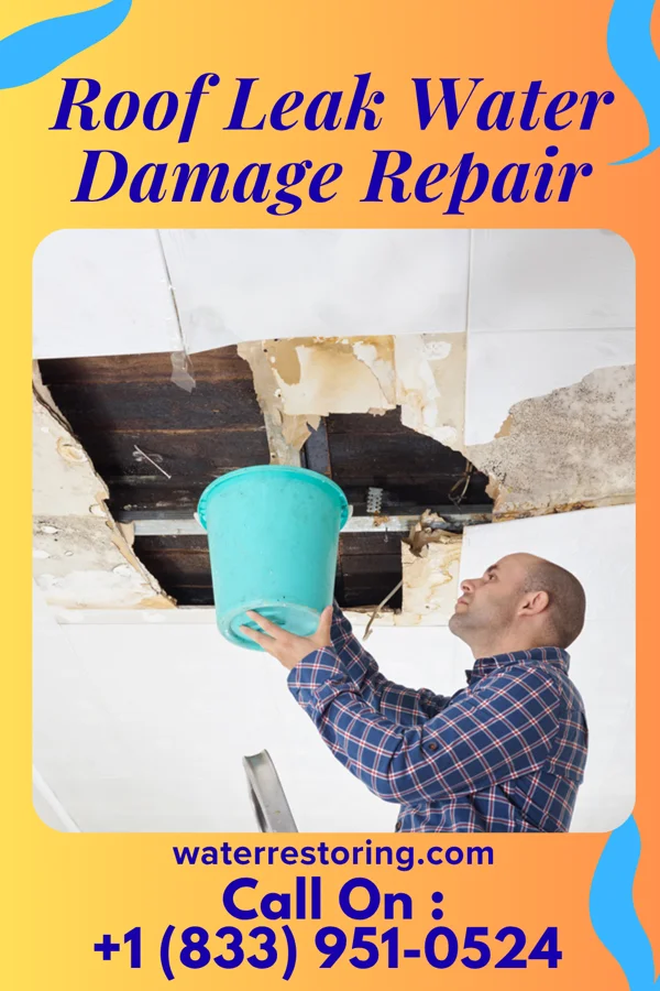 Roof Leak Water Damage Repair in Redland, MD