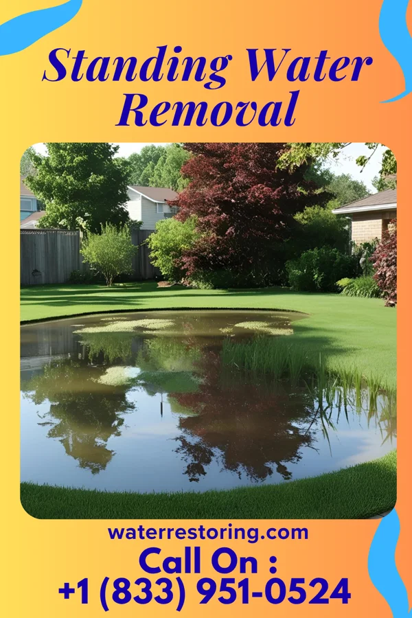 Standing Water Removal in Redland, MD